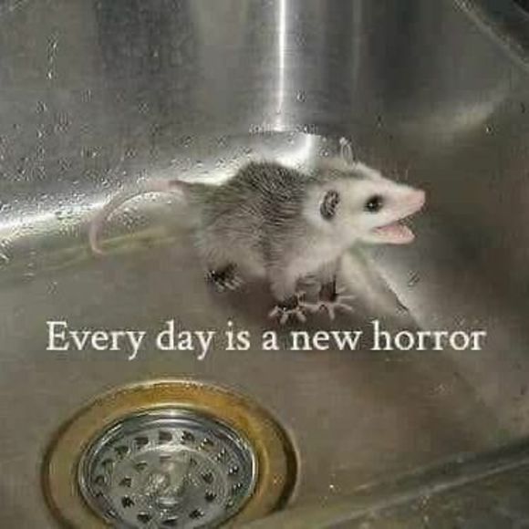 xxomnomnomxx
